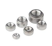 Tuerca de remache autoblocante de acero inoxidable 304 CLS, M2, M2.5, M3, M4, M5, M6, M8, M10, inserto de prensa, tuerca de remache, tuerca de remache, placa de 0,8 a 3,2 mm(M2-1 slab 1.0mm20pcs)