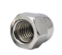 Tuercas con cabeza de bellota Tuerca hexagonal de acero inoxidable, rosca fina métrica M8, M10, M12, M14 y M16, 2 o 5 unidades(M12x1.0 2pcs)