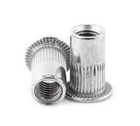 Tuercas de Remache Ciego Tuercas de Cabeza Plana Tuercas de Inserción de Acero Inoxidable M6 Remaches Roscados