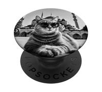 Türkiye Gato En La Mezquita Azul Y Mezquita Sultán Ahmed PopSockets PopGrip Adhesivo