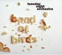 Tuesday Night Orchestra - Band of Birds