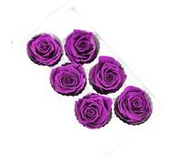 Tuesoa 6PCS de Vida Preservada 5-6 cm Cabeza DecoracióN para Fiesta de Boda Amante DíA de la Madre Flores de Regalo Hechas una Mano DIY,D