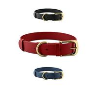 Tuff Pupper Collar clásico para Perro Resistente | 10 Veces más Resistente Que el Cuero | Collar para Perro 100% Impermeable y a Prueba de olores | Hardware Totalmente metálico Resistente oxidación