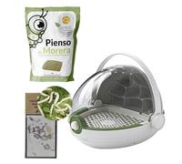 TuGusanoDeSeda - Kit Observatorio Gusanos de Seda Blancos: Eclosión Rápida, 200g de Pienso de Morera, 100 Huevos y Alimento Hecho