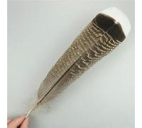 TUITA 10 unids/Lote de Plumas de águila Naturales para Manualidades, Accesorios de Tocado, decoración navideña, Plumas de Carnaval, decoración Artesanal DIY