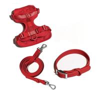 TUITA Juego de arnés y Correa para Perros, Chaleco para Perros sin tirones, arnés de PVC, Correa Impermeable para Perros pequeños, medianos y Grandes