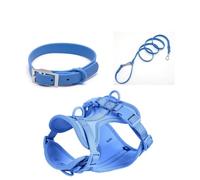 TUITA Juego de arnés y Correa para Perros, Chaleco para Perros sin tirones, arnés de PVC, Correa Impermeable para Perros pequeños, medianos y Grandes