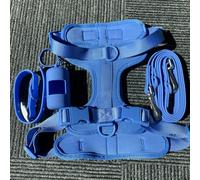 TUITA Juego de arnés y Correa para Perros, Chaleco para Perros sin tirones, arnés de PVC, Correa Impermeable para Perros pequeños, medianos y Grandes