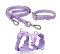 TUITA Juego de arnés y Correa para Perros, Chaleco para Perros sin tirones, arnés de PVC, Correa Impermeable para Perros pequeños, medianos y Grandes