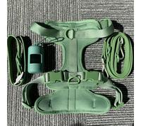TUITA Juego de arnés y Correa para Perros, Chaleco para Perros sin tirones, arnés de PVC, Correa Impermeable para Perros pequeños, medianos y Grandes