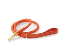 TUITA Juego de Collar y Correa para Perro de Cuero, Collar Ajustable para Perro de PU, Correa Trenzada Suave y Duradera para Perros