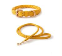 TUITA Juego de Collar y Correa para Perro de Cuero, Collar Ajustable para Perro de PU, Correa Trenzada Suave y Duradera para Perros