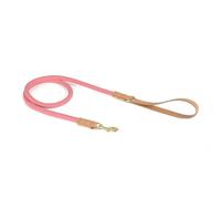 TUITA Juego de Correa para Collar de Perro, Collares de Cuerda de Cuero Trenzado, Hebilla de Metal, Collar de Perro Duradero