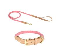 TUITA Juego de Correa para Collar de Perro, Collares de Cuerda de Cuero Trenzado, Hebilla de Metal, Collar de Perro Duradero