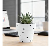 TUKRKRS Cute White Polka Dot Ceramic Planter with Drainage - Small Round Flower Pot for Succulents, Herbs, and Cactus - Modern Indoor Garden Decor for Desk and Windowsill(Blanco)