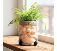 TUKRKRS Journey to The West Cartoon Ceramic Planter - Cute Clay Pot for Small Succulents & Cactus, Desktop Flower Pot for Home, Office, Living Room Decoration