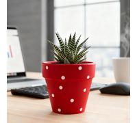 TUKRKRS Modern Red Polka Dot Flower Pot - Small Glazed Ceramic Planter with Drainage - Cute Decorative Pot for Succulents - Stylish(Red)