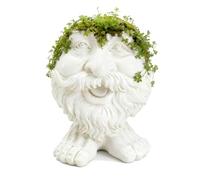 TUKRKRS Unique Beard Joy Planter - Humorous Facial Expression Flower Pot, Resin Carved Planter for Succulents and Houseplants, for Garden Lovers(Grandpa Ollie)