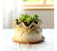TUKRKRS Vintage Bag-Shaped Ceramic Succulent Planter - Creative Quirky Desktop Pot for Small Plants, Cactus, Indoor Home Office Decor Flower Container(XL)