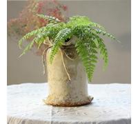 TUKRKRS Vintage Creative Ceramic Plant Pot, Unique Faux Bag Flower Pot for Succulents and Green Plants, Breathable Large-Mouth Indoor Outdoor Decorative Pot(L)