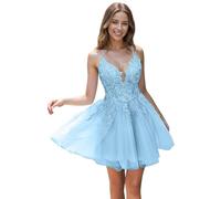 Tul Vestidos de noche con Encaje Corto Cintas de espagueti V-cuello Una línea Bordado Vestidos de regreso, azul celeste, 50