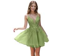 Tul Vestidos de noche con Encaje Corto Cintas de espagueti V-cuello Una línea Bordado Vestidos de regreso, saga, 42