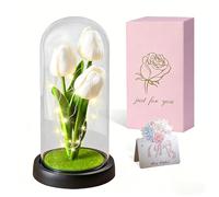 Tulipán eterno para ella, lámpara de tulipán artificial LED en cúpula transparente, decoración del hogar para San Valentín, cumpleaños, día de la madre, cumpleaños, regalo de Navidad
