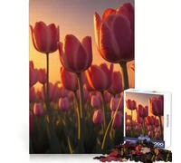 Tulipanes Amanecer Atmósfera Rompecabezas de 1000 Piezas para Adultos Regalos de Rompecabezas Entrenamiento del Pensamiento Diversión pacífica Arte de Corte Uniforme (38x26cm)