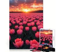 Tulipanes Rosas al Atardecer, Rompecabezas de 1000 Piezas para Adolescentes, Juguete para desarrollar la Habilidad Mental, relajación, Corte preciso, (50x75cm)
