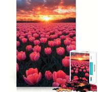 Tulipanes Rosas al Atardecer Rompecabezas de 1000 Piezas para Adultos Regalo Ideal para quienes Buscan un Juego de lógica Estimulante y Relajante con Bordes Transparentes Un Regalo entrañable