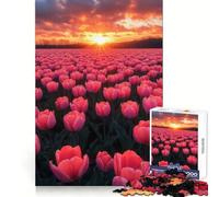 Tulipanes Rosas al Atardecer Rompecabezas de 1000 Piezas para Adultos Regalo Ideal para quienes Buscan un Juego de lógica Estimulante y Relajante con Bordes Transparentes Un Regalo entrañable