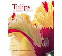 Tulips: An Abundance of Colour (E)