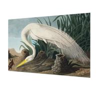 Tulup Papel Pintado 104x70 cm Fácil Limpieza para Dormitorio, Sala de Estar e Recibidor Cola Incluida Moderna Decoración de Pared Fotográfico - Garza majestuosa