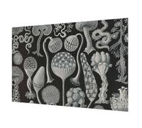 Tulup Papel Pintado 152x104 cm Cola Incluida Moderna Decoración de Pared Fotográfico para Dormitorio, Sala de Estar e Recibidor Fácil Limpieza - Plantas mágicas