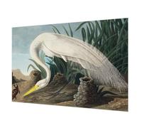 Tulup Papel Pintado 152x104 cm Fácil Limpieza para Dormitorio, Sala de Estar e Recibidor Cola Incluida Moderna Decoración de Pared Fotográfico - Garza majestuosa