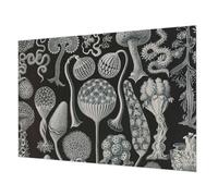 Tulup Papel Pintado 208x146 cm Cola Incluida Moderna Decoración de Pared Fotográfico para Dormitorio, Sala de Estar e Recibidor Fácil Limpieza - Plantas mágicas