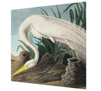 Tulup Papel Pintado 250x250 cm Fácil Limpieza para Dormitorio, Sala de Estar e Recibidor Cola Incluida Moderna Decoración de Pared Fotográfico - Garza majestuosa