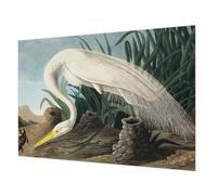 Tulup Papel Pintado 312x219 cm Fácil Limpieza para Dormitorio, Sala de Estar e Recibidor Cola Incluida Moderna Decoración de Pared Fotográfico - Garza majestuosa