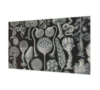 Tulup Papel Pintado 416x254 cm Cola Incluida Moderna Decoración de Pared Fotográfico para Dormitorio, Sala de Estar e Recibidor Fácil Limpieza - Plantas mágicas