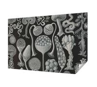 Tulup Papel Pintado Adhesivo 104x70 cm Autoadhesivo Moderna Decoración de Pared Fotográfico para Dormitorio, Sala de Estar e Recibidor Resistente a las Manchas - Plantas mágicas