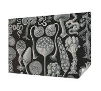 Tulup Papel Pintado Adhesivo 108x146 cm Autoadhesivo Moderna Decoración de Pared Fotográfico para Dormitorio, Sala de Estar e Recibidor Resistente a las Manchas - Plantas mágicas