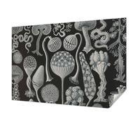 Tulup Papel Pintado Adhesivo 152x104 cm Autoadhesivo Moderna Decoración de Pared Fotográfico para Dormitorio, Sala de Estar e Recibidor Resistente a las Manchas - Plantas mágicas