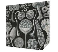 Tulup Papel Pintado Adhesivo 250x250 cm Autoadhesivo Moderna Decoración de Pared Fotográfico para Dormitorio, Sala de Estar e Recibidor Resistente a las Manchas - Plantas mágicas