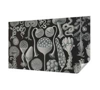 Tulup Papel Pintado Adhesivo 416x254 cm Autoadhesivo Moderna Decoración de Pared Fotográfico para Dormitorio, Sala de Estar e Recibidor Resistente a las Manchas - Plantas mágicas