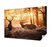 Tulup Papel Tapiz Paredes 312x219 cm Resistente a las Manchas para Dormitorio, Sala de Estar e Recibidor Autoadhesivo Moderna Decoración de Pared Fotográfico - Ciervos por la mañana