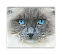 Tulup Tabla De Cortar Cocina 60x52cm - Vidrio Protector De Placa De Induccion - Gato Con Ojos Azules