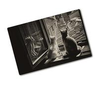 Tulup Tabla De Cortar Cocina 60x52cm - Vidrio Protector De Placa De Induccion - Gatos En La Ventana