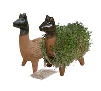 Tumia LAC Kit de Cultivo Interior de Berro Figura de Cerámica Llama (18 cm) - Con Semillas, Regalo Original, Decoración de Jardín/Mesa