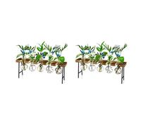 Tuminsi 2X Estaciones de Propagación Terrario de Plantas de Aire de Escritorio, Jarrón de Vidrio con Bulbo de Maceta de Vidrio con Soporte de Madera - Terrario de Plantas