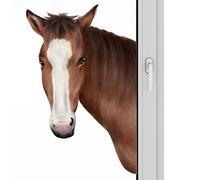 Tumotsit Pegatinas para ventanas | Pegatinas de pared - Pegatinas interesantes con vistas de ventana artificiales, pegatinas de pared divertidas y extraíbles con escenas de ventana falsas